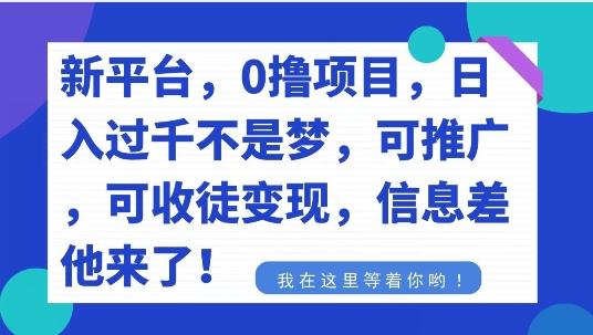不要再花冤枉钱了，0撸项目，每天坚持，稳定1000+-搞机圈