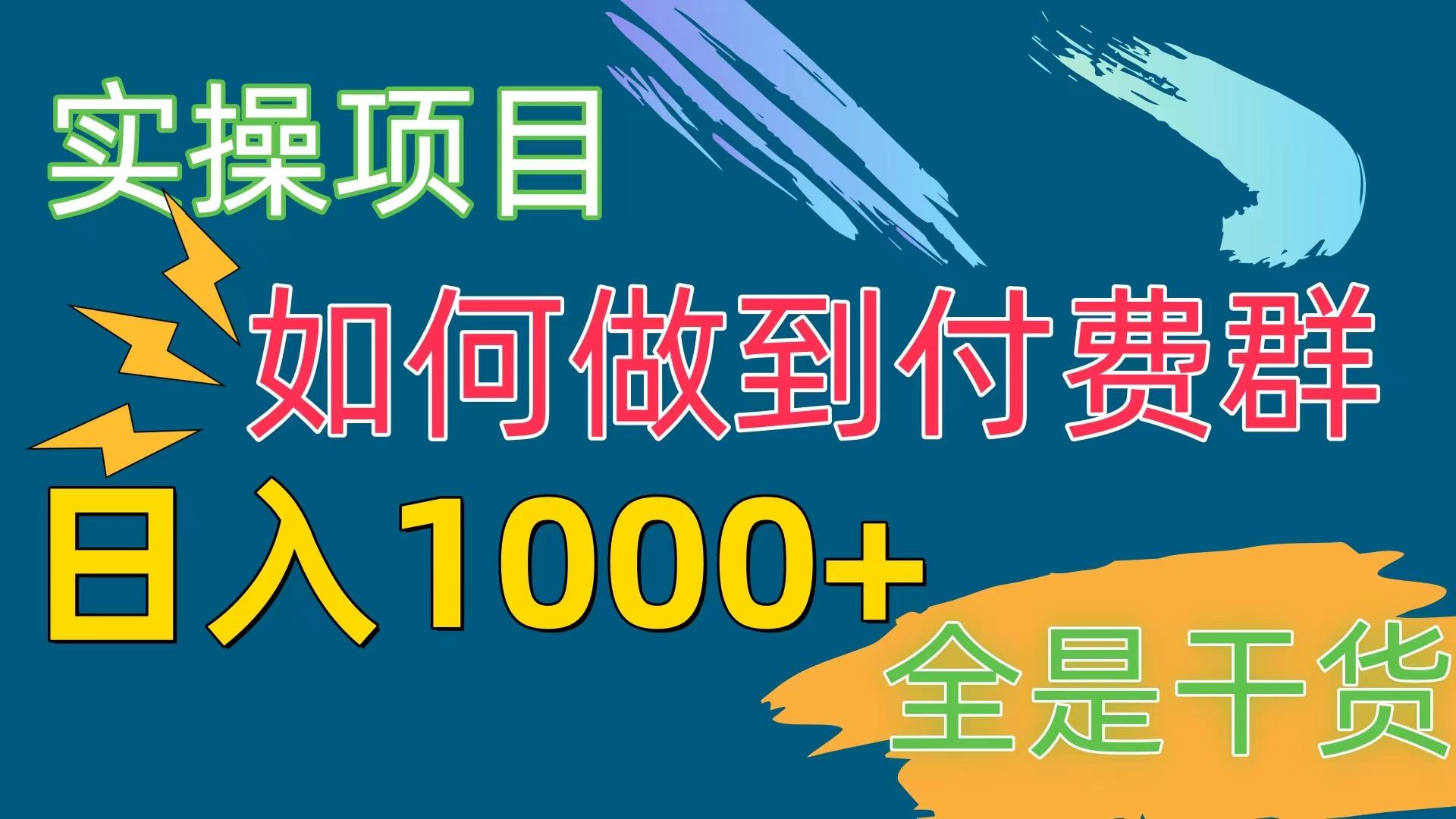 [实操项目]付费群赛道，日入1000+-搞机圈