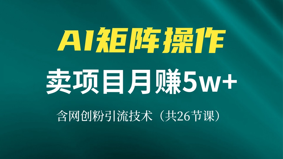 网创IP打造课，借助AI卖项目月赚5万+，含引流技术(共26节课-搞机圈