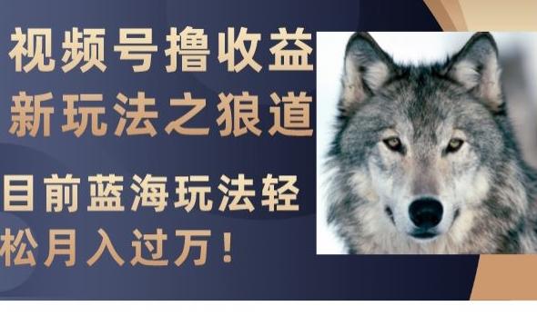 视频号撸收益新玩法之狼道，目前蓝海玩法，轻松月入过万【揭秘】-搞机圈