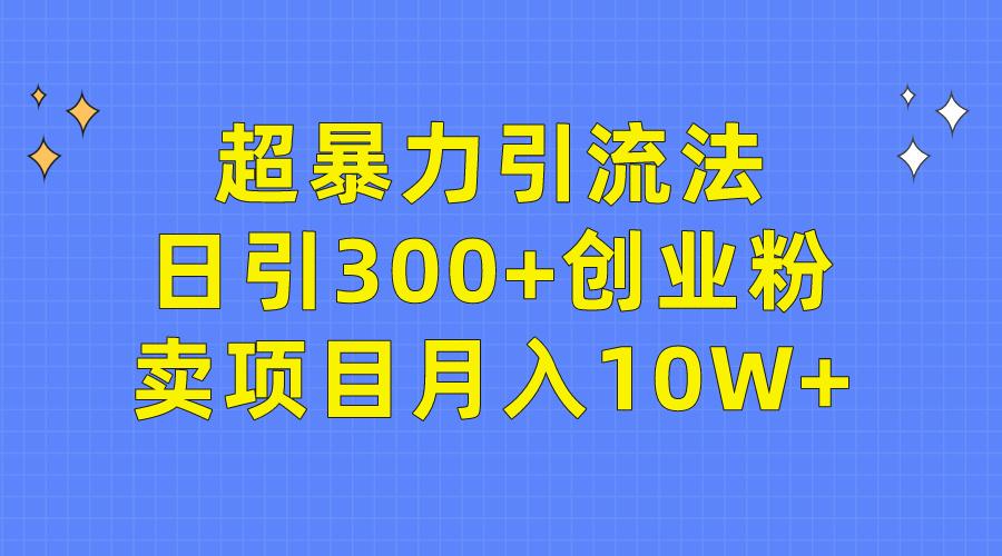 (9954期)超暴力引流法，日引300+创业粉，卖项目月入10W+-搞机圈