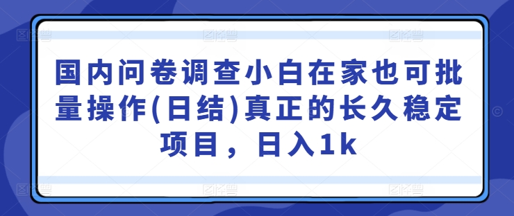 国内问卷调查小白在家也可批量操作(日结)真正的长久稳定项目，日入1k【揭秘】-搞机圈