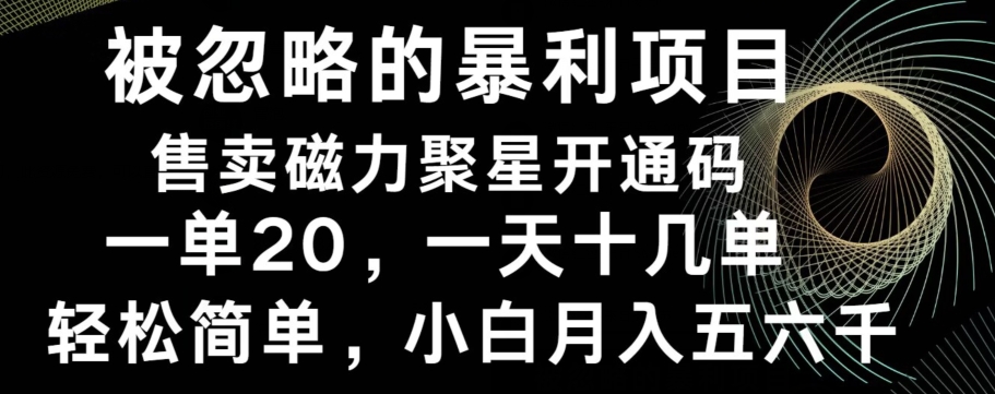被忽略的暴利项目！售卖磁力聚星开通码，一单20，一天十几单，轻松月入五六千-搞机圈