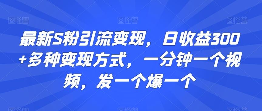 最新S粉引流变现，日收益300+多种变现方式，一分钟一个视频，发一个爆一个【揭秘】-搞机圈