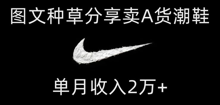 靠图文种草分享卖A货潮鞋，每天一小时，单月收入2万+【揭秘】-搞机圈