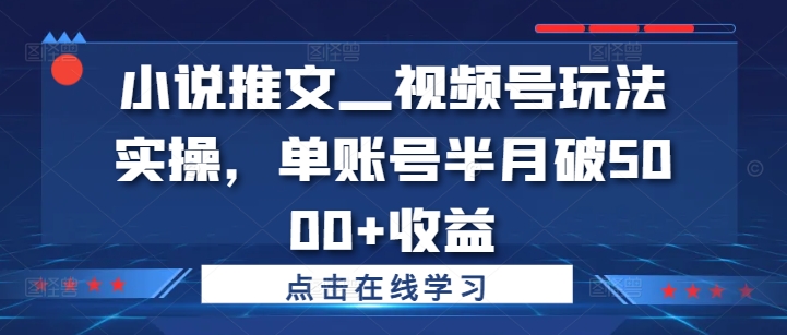 小说推文—视频号玩法实操，单账号半月破5000+收益-搞机圈