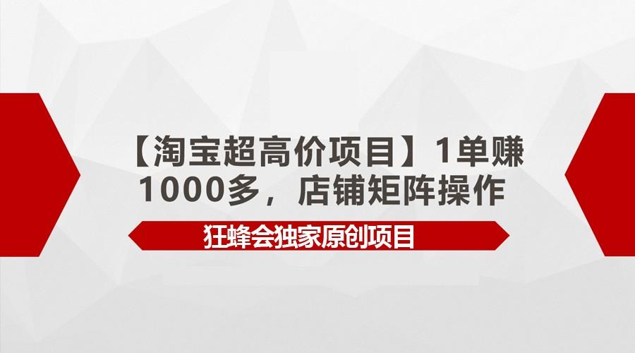 【淘宝超高价项目】1单赚1000多，店铺矩阵操作-搞机圈