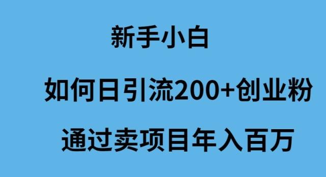(9668期)新手小白如何日引流200+创业粉通过卖项目年入百万-搞机圈