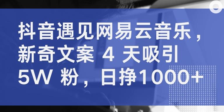 抖音遇见网易云音乐，新奇文案 4 天吸引 5W 粉，日挣1000+【揭秘】-搞机圈