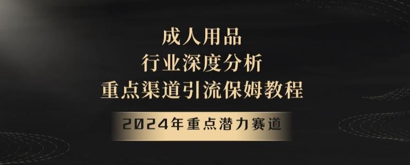 2024年重点潜力赛道，成人用品行业深度分析，重点渠道引流保姆教程【揭秘】-搞机圈