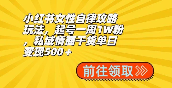 小红书女性自律攻略玩法，起号一周1W粉，私域情商干货单日变现500＋-搞机圈