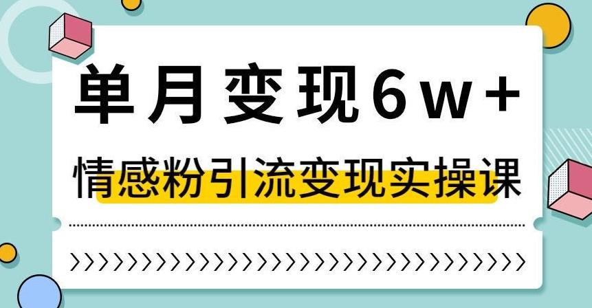 单月变现6W+，抖音情感粉引流变现实操课，小白可做，轻松上手，独家赛道【揭秘】-搞机圈