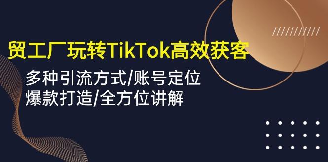 外贸工厂玩转TikTok高效获客，多种引流方式/账号定位/爆款打造/全方位讲解-搞机圈