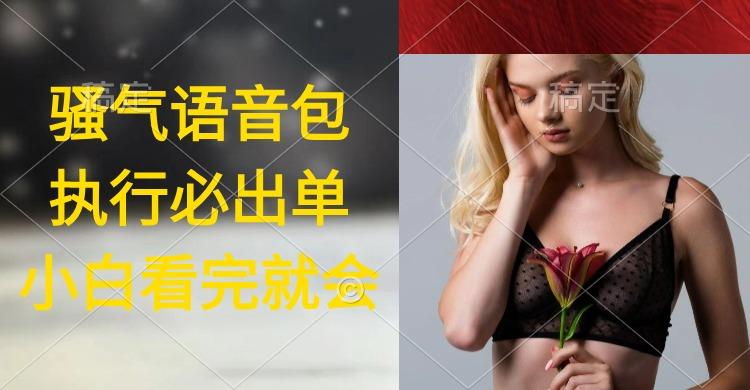 (9589期)执行就出单，日入2000+，超火骚气语音包，小白看完课程就能马上实操-搞机圈