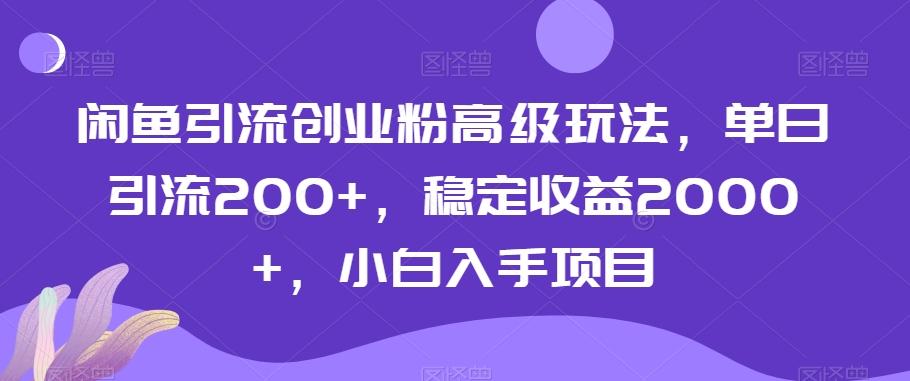 闲鱼引流创业粉高级玩法，单日引流200+，稳定收益2000+，小白入手项目-搞机圈