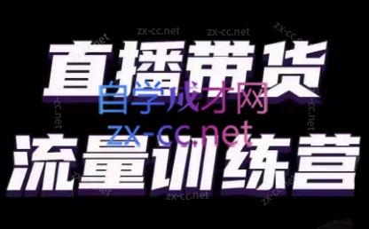 婉婉·直播带货课程系列合集(更新8月)-搞机圈