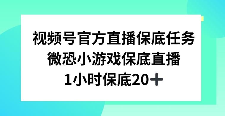 视频号直播任务，微恐小游戏，1小时20+【揭秘】-搞机圈