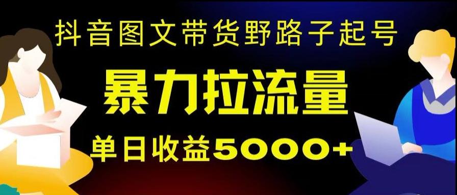 抖音图文带货暴力起号，单日收益5000+，野路子玩法，简单易上手，一部手机即可【揭秘】-搞机圈