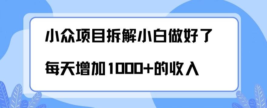 小众项目拆解，小白做好了每天可增加1000多的收入-搞机圈