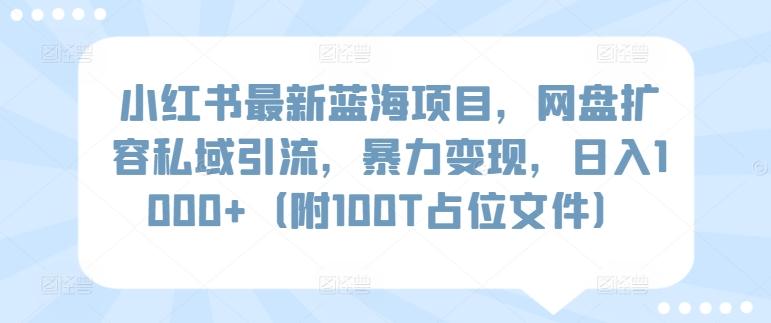 小红书最新蓝海项目，网盘扩容私域引流，暴力变现，日入1000+(附100T占位文件)【揭秘】-搞机圈