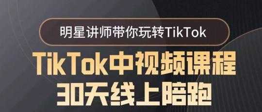 TikTok中视频课程30天线上陪跑，明星讲师带你玩转TikTok-搞机圈