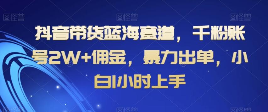 抖音带货蓝海赛道，千粉账号2W+佣金，暴力出单，小白1小时上手【揭秘】-搞机圈