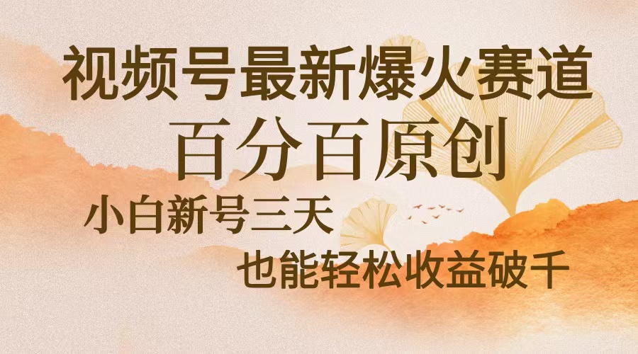 视频号最新爆火赛道，中老年粉深信不疑，百分百原创，新号三天收益轻松…-搞机圈