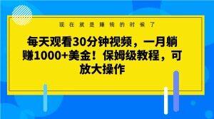 每天观看30分钟视频，一月躺赚1000+美金！保姆级教程，可放大操作【揭秘】-搞机圈