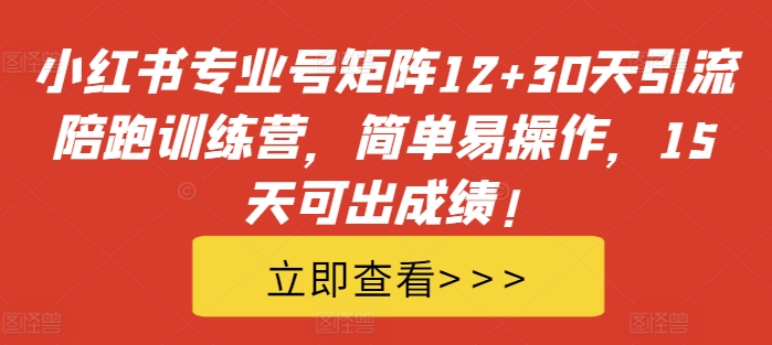 小红书专业号矩阵12+30天引流陪跑训练营，简单易操作，15天可出成绩!-搞机圈