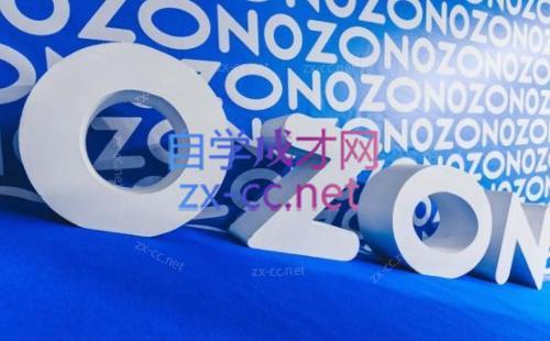 森哥·出海俄罗斯电商实操(2024)-搞机圈