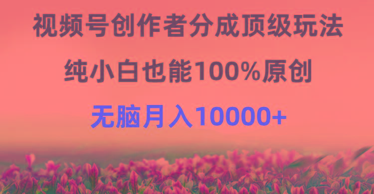 (9608期)视频号创作者分成顶级玩法，纯小白也能100%原创，无脑月入10000+-搞机圈