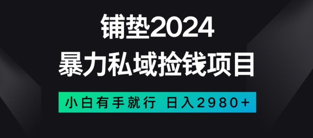 暴力私域捡钱项目，小白无脑操作，日入2980【揭秘】-搞机圈