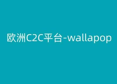 欧洲C2C平台-wallapop-kim跨境电商教程-搞机圈