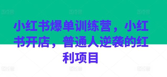小红书爆单训练营，小红书开店，普通人逆袭的红利项目-搞机圈