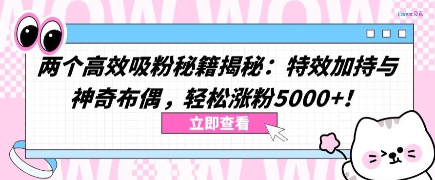 两个高效吸粉秘籍揭秘：特效加持与神奇布偶，轻松涨粉5000+【揭秘】-搞机圈