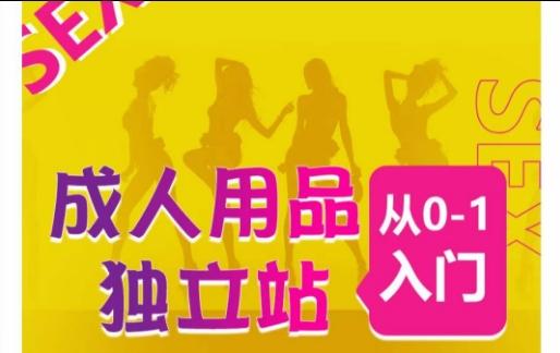 成人用品独立站从0-1入门，成品独立站运营全流程教学，七大好卖成品独立站推荐-搞机圈