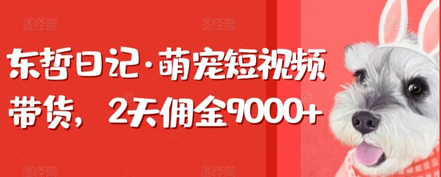 东哲日记·萌宠短视频带货，2天佣金9000+-搞机圈