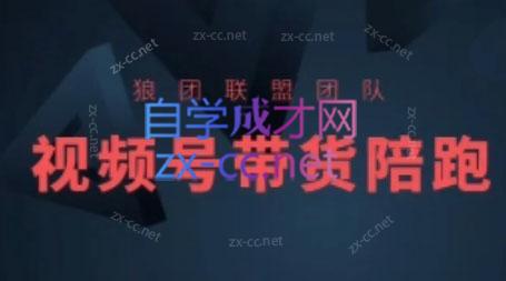 狼团联盟·2024视频号带货-搞机圈