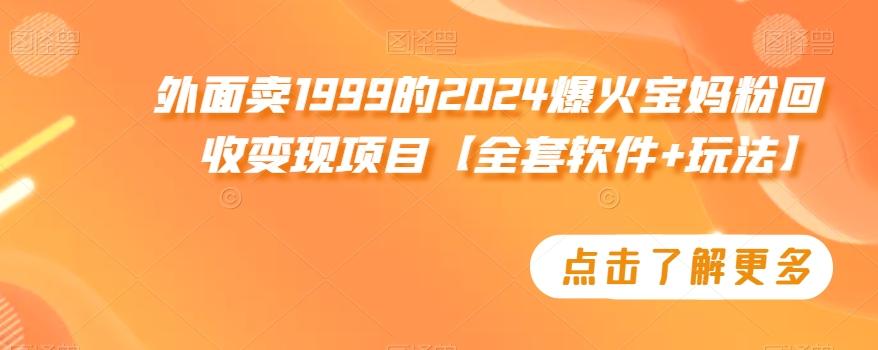 外面卖1999的2024爆火宝妈粉回收变现项目【全套软件+玩法】【揭秘】-搞机圈