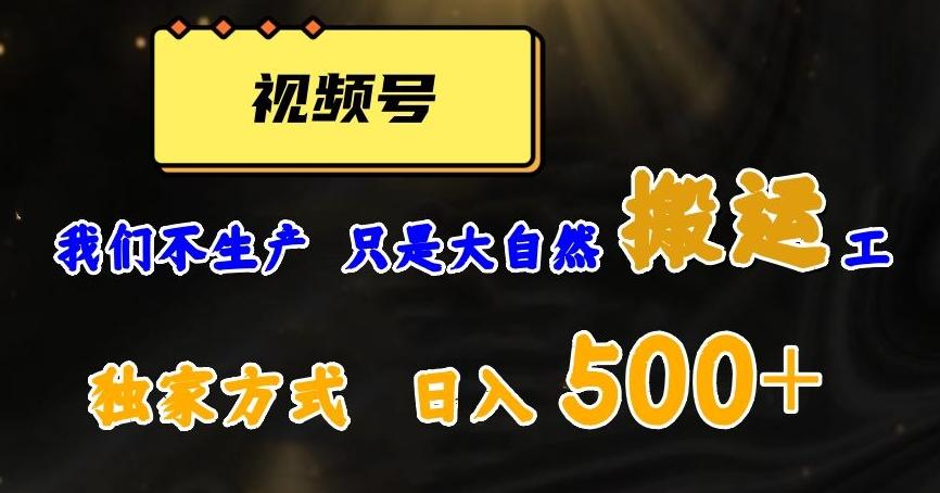 视频号轻松搬运日赚500+，一个1分钟1条原创视频【揭秘】-搞机圈