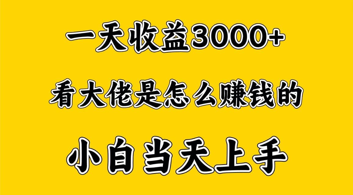 一天赚3000多，大佬是这样赚到钱的，小白当天上手，穷人翻身项目-搞机圈