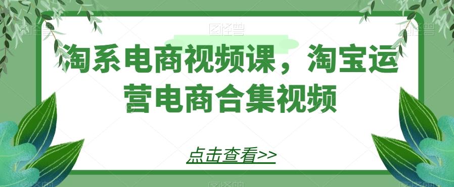 淘系电商视频课，淘宝运营电商合集视频-搞机圈