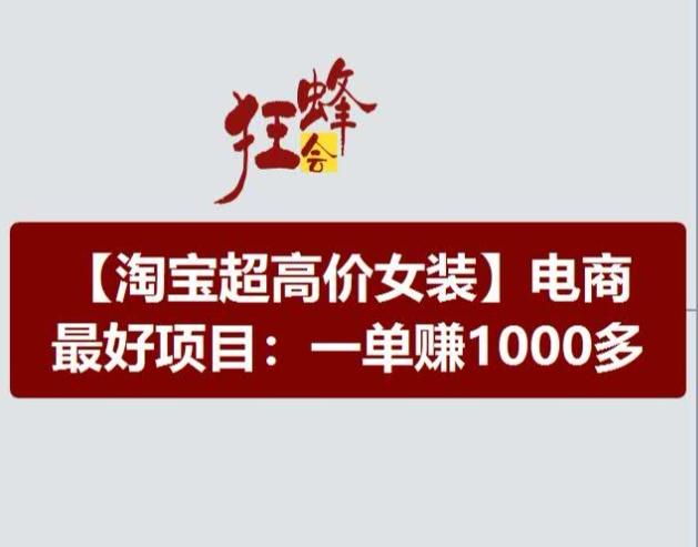 淘宝超高价女装项目，电商最好赛道，一单赚1000多-搞机圈