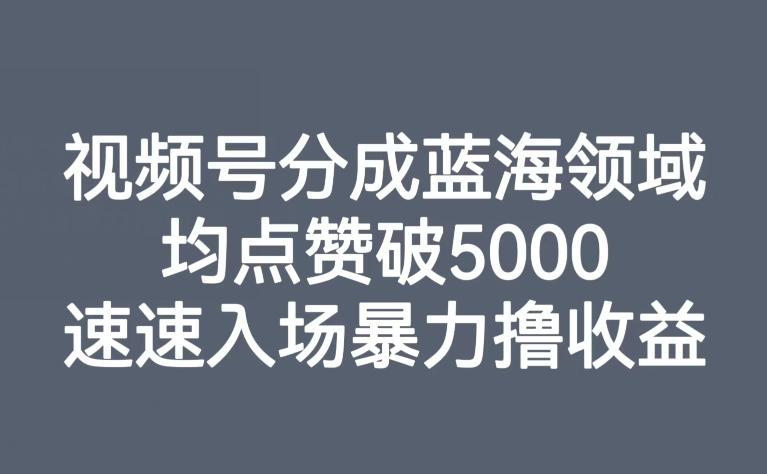 视频号分成蓝海领域，均点赞破5000，速速入场暴力撸收益-搞机圈