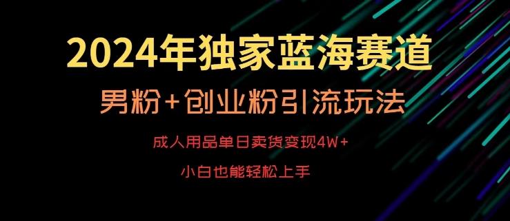 2024年独家蓝海赛道，成人用品单日卖货变现4W+，男粉+创业粉引流玩法，不愁搞不到流量【揭秘】-搞机圈