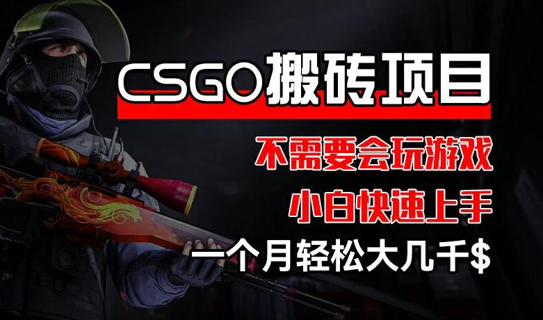 CSGO 装备搬砖项目，操作简单，不需要会玩游戏，小白也能快速上手，一个月轻松大几千【揭秘】-搞机圈