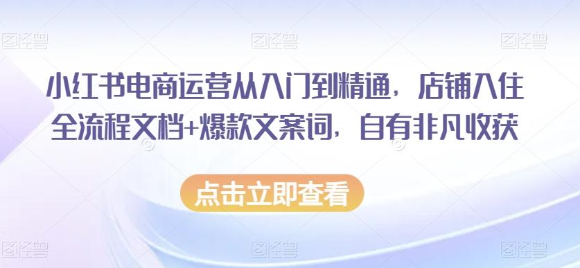小红书电商运营从入门到精通，店铺入住全流程文档+爆款文案词，自有非凡收获-搞机圈