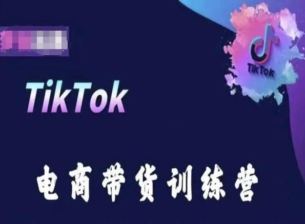 TikTok电商带货训练营，跟随时代潮流，跨境掘金-搞机圈
