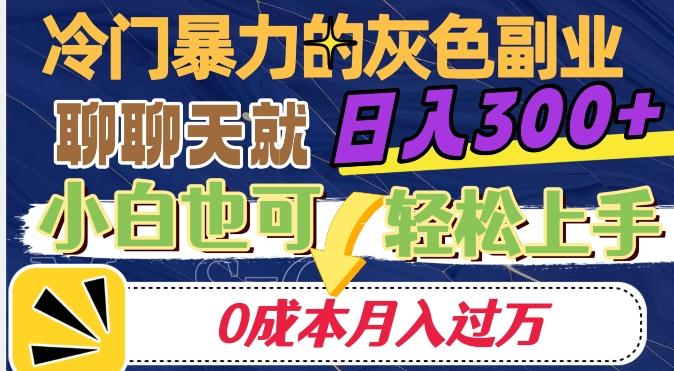 冷门暴利的副业项目，聊聊天就能日入300+，0成本月入过万【揭秘】-搞机圈