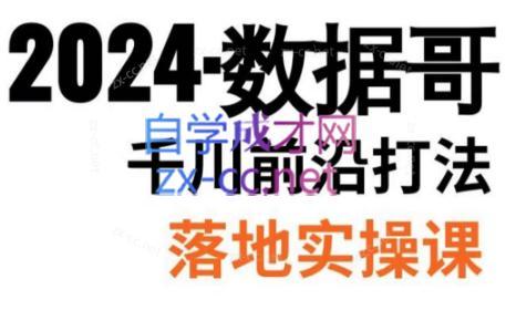 数据哥·2024年千川前沿打法落地实操课-搞机圈